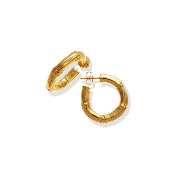 BAMBOO SMALL HOOP EARRINGS GOLDPLATED עגילים כסף