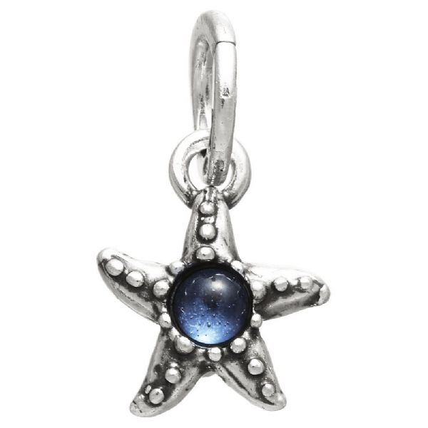STARFISH COLOR CHARM