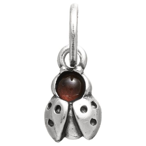 LADYBUG COLOR CHARM