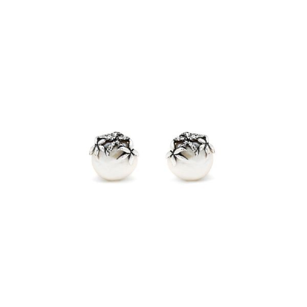 TAHITI STARFISH EARRINGS עגילים כסף