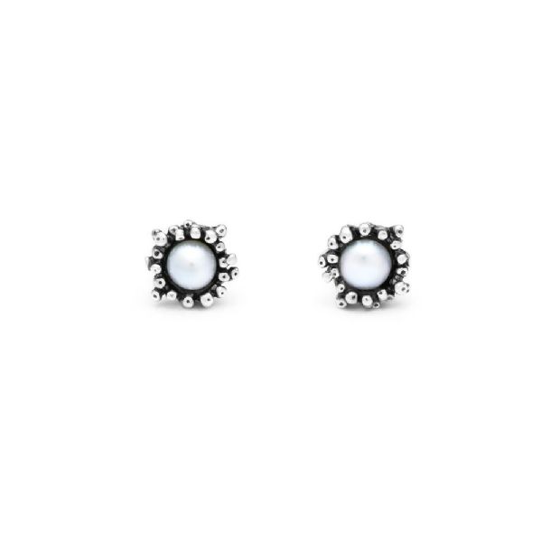 ANEMONE MINI EARRINGS עגילים כסף