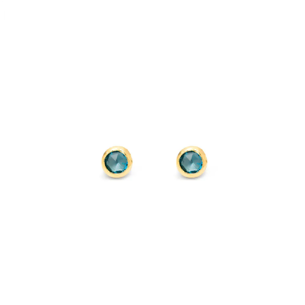 BLUE SMALL LOOP EARRINGS עגילים כסף